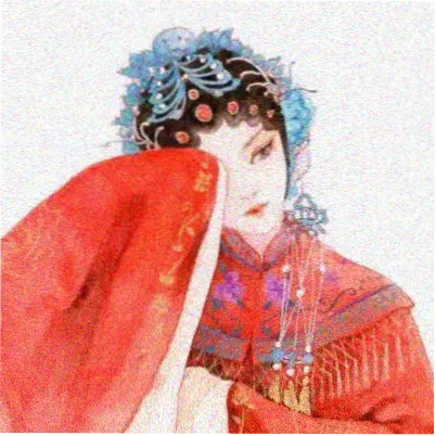 写小说读者